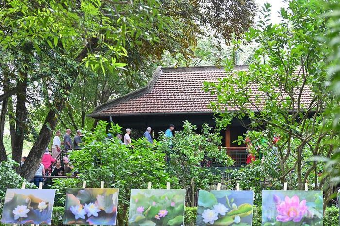 Cây vú sữa (góc trái ảnh) được trồng bên góc nhà sàn. Ảnh: Nam Nguyễn
