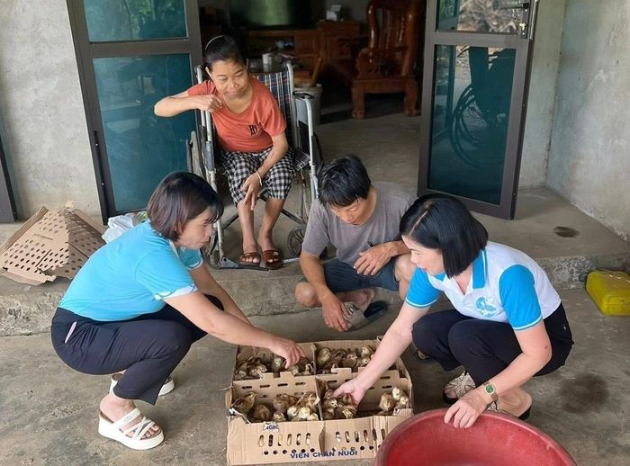 Những con gà giống được cán bộ Hội Liên hiệp Phụ nữ xã trao tận tay, mở ra hy vọng về cuộc sống ổn định cho hội viên có hoàn cảnh khó khăn.