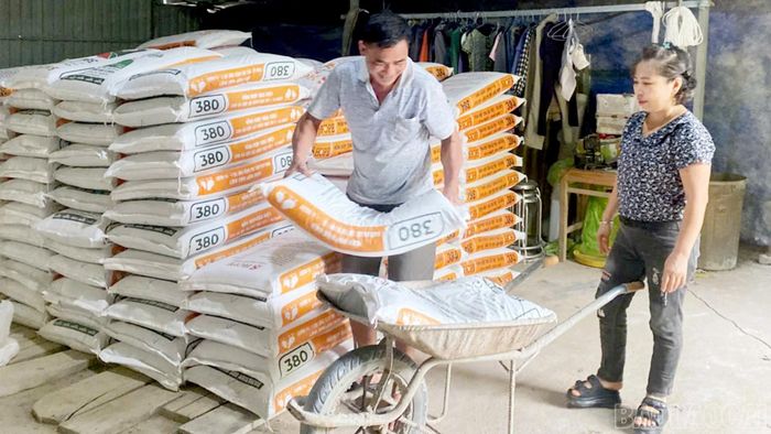 Nguồn vốn vay ưu đãi giúp nhiều hộ hội viên ở xã Mậu A mở rộng chăn nuôi, chủ động đầu tư thức ăn và phát triển sản xuất.