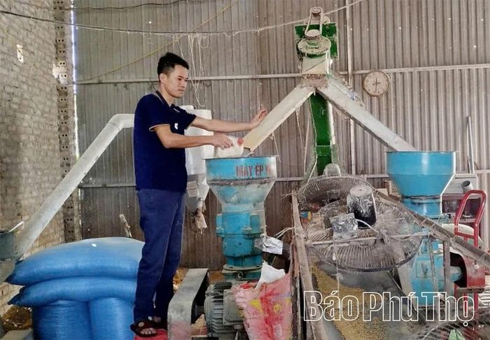 Sử dụng phụ phẩm nông nghiệp, tự chế biến thức ăn phục vụ chăn nuôi là giải pháp được gia đình anh Phan Kim Hùng, xã Hùng Việt áp dụng hiệu quả.