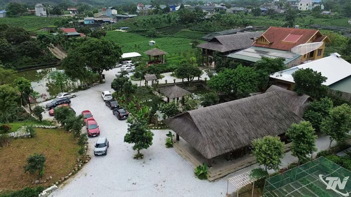HTX Trà và Du lịch cộng đồng Tiến Yên ở xã Tân Cương đã trở thành điểm đến thu hút đông đảo du khách trong và ngoài tỉnh.