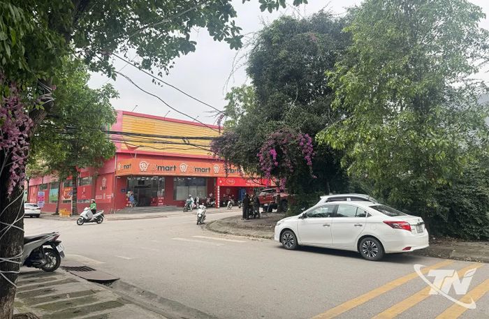 Tuy cuộc sống sôi động, đông người qua lại giao thương, nhưng ở xóm Chợ 2 vãn có những góc nhỏ bình yên.