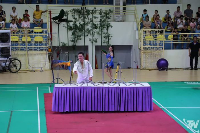 Tiết mục biểu diễn xiếc vẹt.