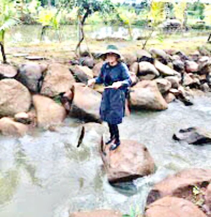 Trải nghiệm câu cá bên dòng suối nhỏ và thưởng thức thành quả giữa không gian núi rừng yên bình.