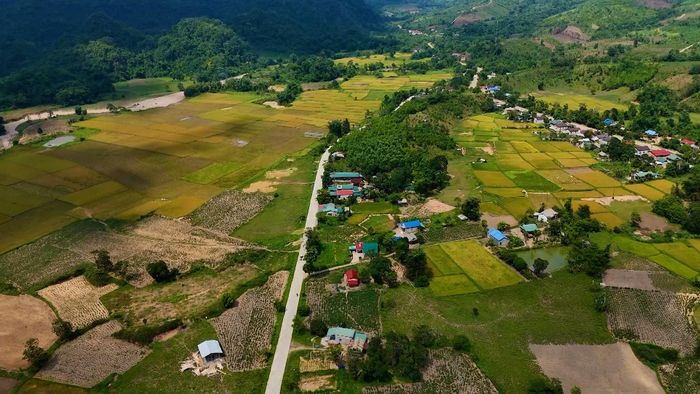 Mùa vàng, mùa no ấm hiện hữu trên quê hương xã Hướng Lập, tỉnh Quảng Trị