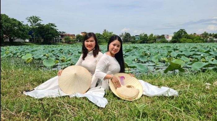Ngày hội Sen Huế 2026 được kỳ vọng sẽ trở thành điểm hẹn hấp dẫn của người dân và du khách