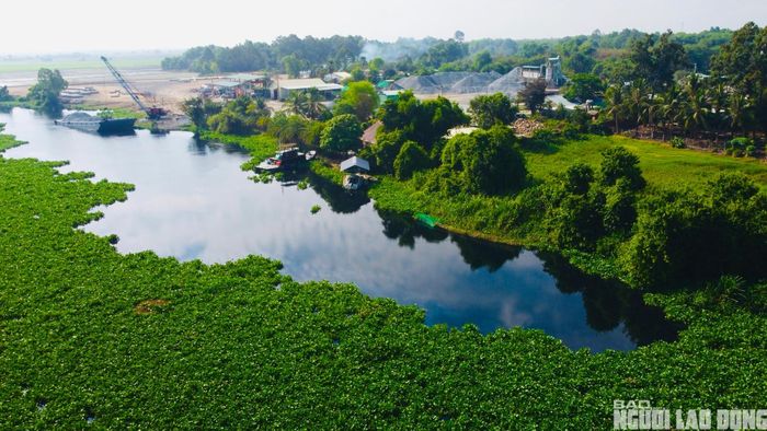 Theo chị Đại, hiện tượng cá chết xuất hiện với số lượng lớn trong những ngày gần đây càng khiến người dân thêm bất an và lo ngại nguồn nước đang bị ô nhiễm nghiêm trọng.