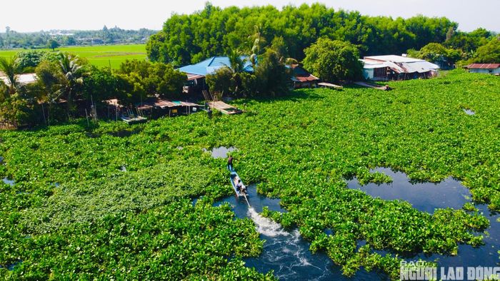 Người dân địa phương cho biết điều đáng lo nhất là phần lớn hộ dân ven sông hiện vẫn sử dụng nước giếng khoan gần khu vực này cho sinh hoạt hằng ngày. Nhiều người lo ngại nếu tình trạng ô nhiễm kéo dài sẽ ảnh hưởng đến nguồn nước ngầm và sức khỏe người dân.