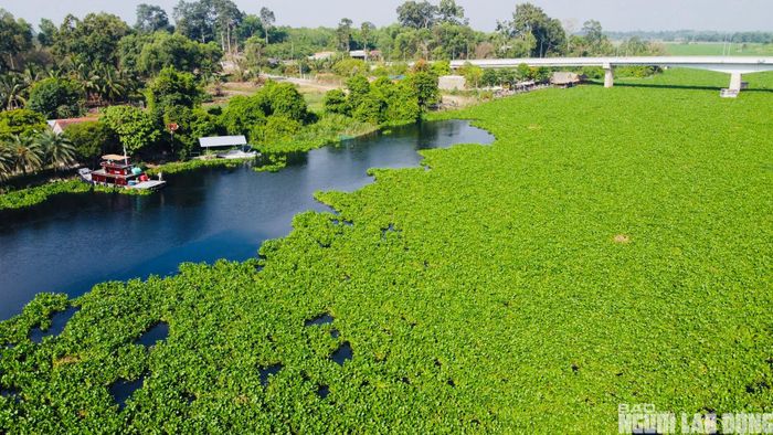 Theo người dân địa phương, tình trạng này đã kéo dài hơn một tháng nay và không phải lần đầu xuất hiện. Vào cùng thời điểm năm 2025, khu vực này cũng từng xảy ra hiện tượng nước sông và các tuyến kênh chuyển màu đen tương tự.