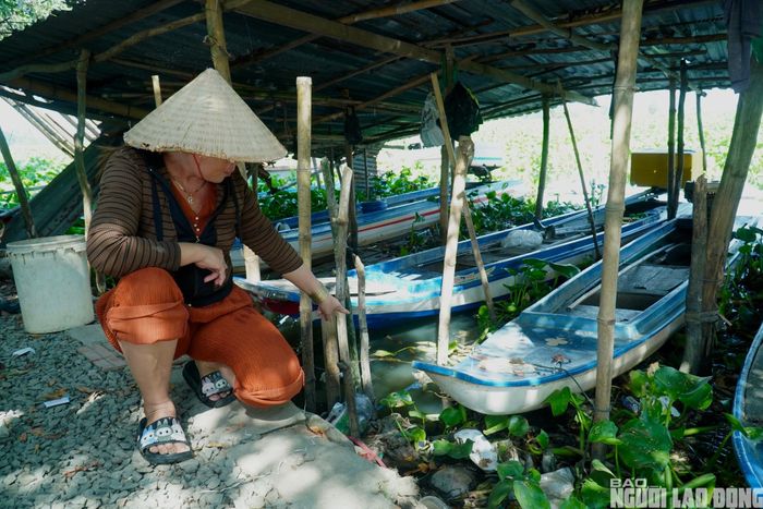 Sống ven sông Vàm Cỏ Đông, chị Huỳnh Kim Đại cho biết khoảng một tuần trở lại đây, nước sông chuyển sang màu đen đặc như nhớt, mùi hôi bốc lên nồng nặc khiến sinh hoạt gia đình bị đảo lộn hoàn toàn. "Nước rất đục và đen, buổi trưa thối chịu không nổi, tôi phải ở trong nhà suốt chứ ra ngoài hôi chịu không nổi” - chị Đại nói.