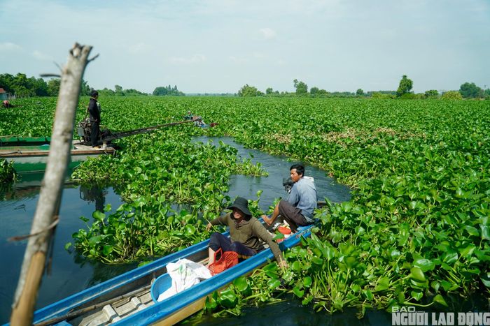Người dân cho biết tình trạng nước đen và mùi hôi năm nay nghiêm trọng hơn nhiều năm trước.