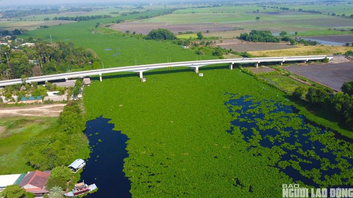 Theo cơ quan chức năng, tình trạng nước đen, bốc mùi hôi chủ yếu do bùn đáy, xác thực vật, lục bình và chất hữu cơ tích tụ lâu ngày. Ngoài ra, nguồn nước thải sinh hoạt, sản xuất nông nghiệp và nước từ thượng nguồn đổ về cũng ảnh hưởng đến chất lượng nước sông.