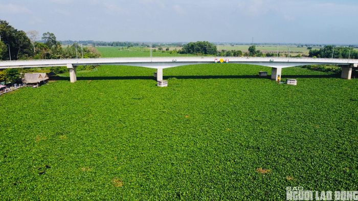 Qua kiểm tra, ngành chức năng ghi nhận nhiều tuyến kênh dẫn nước đã nhiều năm chưa được nạo vét định kỳ. Trong đó, kênh dẫn về trạm bơm Long Thuận lần gần nhất được nạo vét vào năm 2010; trạm Long Khánh năm 2019 và trạm Bến Đình năm 2016.
