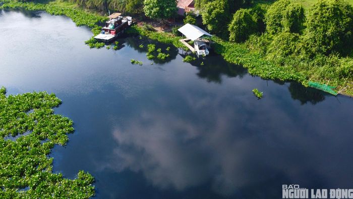 Trước tình trạng trên, ngày 17-5, Sở Nông nghiệp và Môi trường Tây Ninh cho biết đã tổ chức khảo sát, kiểm tra thực tế tại rạch Bảo, sông Vàm Cỏ Đông và hệ thống kênh dẫn nước vào các trạm bơm Long Khánh, Long Thuận, Bến Đình sau khi xuất hiện phản ánh về tình trạng ô nhiễm nguồn nước ảnh hưởng đến sản xuất nông nghiệp của người dân.