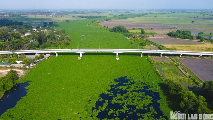 Ghi nhận ngày 17-5 tại khu vực cầu Bến Đình – công trình giao thông kết nối huyện Bến Cầu và Gò Dầu, bắc qua sông Vàm Cỏ Đông – cho thấy nhiều đoạn sông chuyển sang màu đen đục. Lục bình ken dày phủ gần kín mặt nước, dòng chảy chậm.