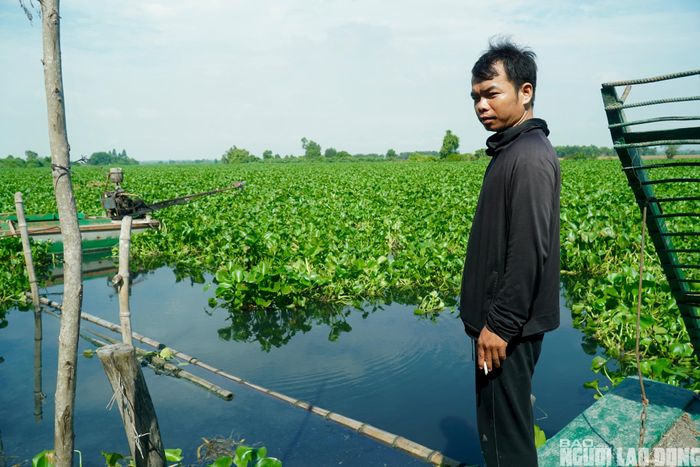 Theo anh Nguyễn Thanh Tuấn, việc phải sử dụng nguồn nước có dấu hiệu ô nhiễm để tưới tiêu khiến nhiều người dân không khỏi lo lắng. Anh cho biết nguồn nước bốc mùi hôi gắt, khó chịu nên người dân e ngại có thể chứa hóa chất hoặc các chất ô nhiễm gây ảnh hưởng đến cây trồng, đặc biệt là những loại hoa màu nhạy cảm. Anh Tuấn cũng cho biết hiện nhiều hộ dân không dám tiếp xúc trực tiếp với nguồn nước vì lo ảnh hưởng đến sức khỏe. “Nhiều người hạn chế xuống kênh vì sợ nguồn nước ô nhiễm có thể gây bệnh nếu tình trạng này kéo dài” - anh Tuấn nói.