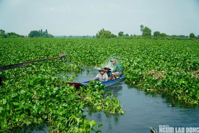 Người dân cho biết tình trạng nước ô nhiễm đã xuất hiện nhiều lần trong những năm gần đây, đặc biệt vào thời điểm bắt đầu vụ hè thu. Nhiều người nghi ngờ nguồn ô nhiễm xuất phát từ khu vực đầu nguồn và mong cơ quan chức năng sớm kiểm tra, xác định nguyên nhân để bảo đảm nguồn nước phục vụ sản xuất và sinh hoạt.