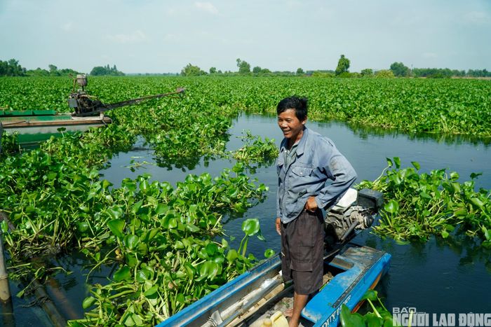 Hiện mực nước trên các tuyến kênh xuống thấp, dòng chảy yếu, lục bình phát triển dày đặc làm giảm khả năng lưu thông và tự làm sạch của dòng nước.