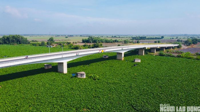 Nước sông Vàm Cỏ Đông chuyển màu đen bất thường, bốc mùi hôi nồng nặc nhiều ngày qua.