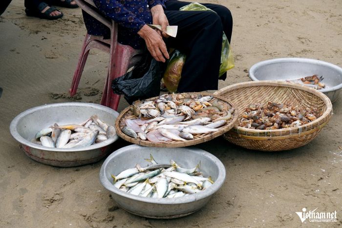 Những mớ hải sản tươi rói