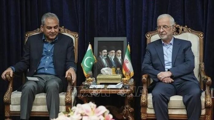 Bộ trưởng Nội vụ Iran Eskandar Momeni (phải) tiếp người đồng cấp Pakistan Mohsin Naqvi. Ảnh: IRNA/TTXVN.