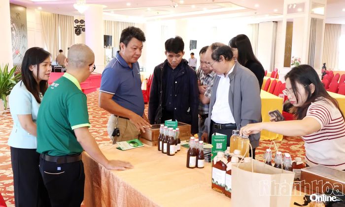 Các đại biểu tham quan, tìm hiểu dự án khởi nghiệp tại chung kết Cuộc thi Khởi nghiệp đổi mới sáng tạo tỉnh Khánh Hòa năm 2025.