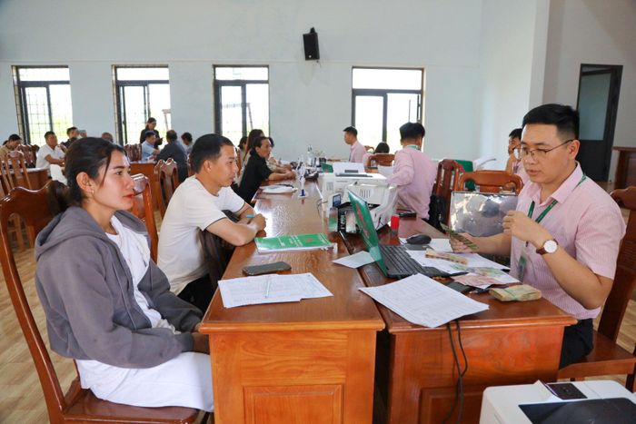 Qua kết nối của Hội LHPN xã, gia đình chị H’Tuyết ở bon Sar Pa, xã Thuận An đã tiếp cận được nguồn vốn vay ưu đãi để đầu tư mở rộng sản xuất
