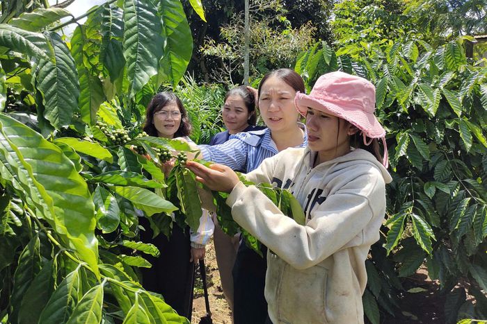 Từ hỗ trợ của Hội LHPN xã Thuận An, kinh tế gia đình chị H’Tuyết ngày càng phát triển
