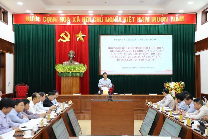 Phó Chủ tịch Thường trực UBND tỉnh Lê Trọng Yên kết luận buổi làm việc