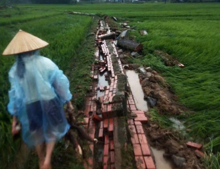 Đoạn kênh mương nội đồng tại xã Quảng Đức, tỉnh Quảng Ninh bị hư hỏng do nước lũ. 