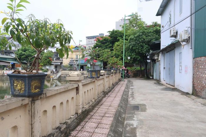 Một góc đoạn đường nở hoa sáng - xanh - sạch - đẹp nhờ bàn tay hội viên phụ nữ. Ảnh: QA
