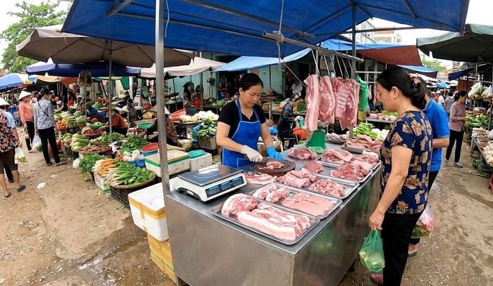 Hình minh họa
