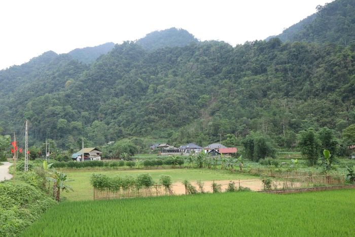 Một góc thôn Khau Cau, xã Lâm Bình, tỉnh Tuyên Quang - Ảnh: UBND xã Lâm Bình