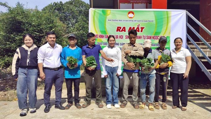 Mô hình an sinh xã hội “Sinh kế xanh từ sâm Ngọc Linh” đang tạo nên sự thay đổi về công tác giảm nghèo bền vững ở xã Nam Trà My. Ảnh: ĐÔNG YÊN
