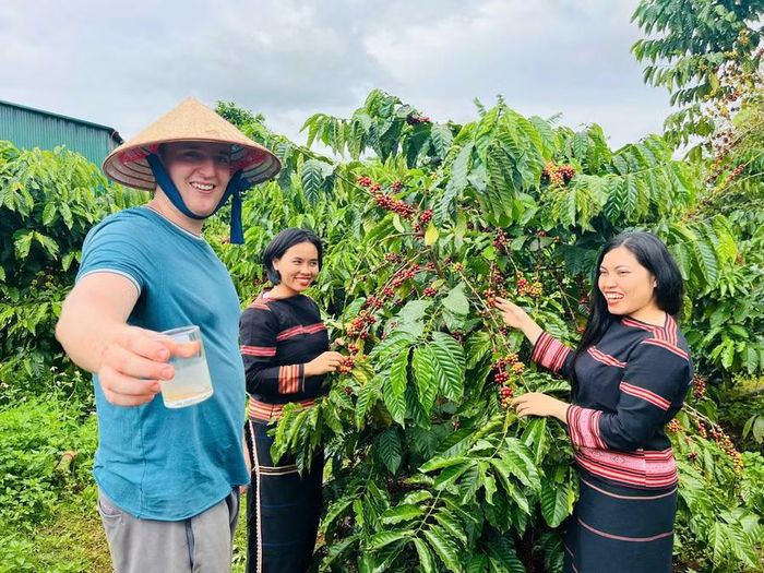  Du khách tham quan, trải nghiệm hái cà phê và quy trình sản xuất cà phê của Công ty. Ảnh: NVCC 