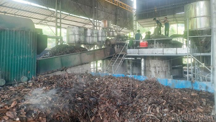 Chưng cất tinh dầu quế là khâu cần tiếp tục được nâng cấp công nghệ để nâng cao giá trị sản phẩm.