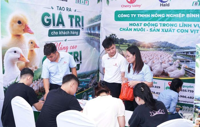 Sinh viên tìm kiếm cơ hội việc làm tại Ngày hội.