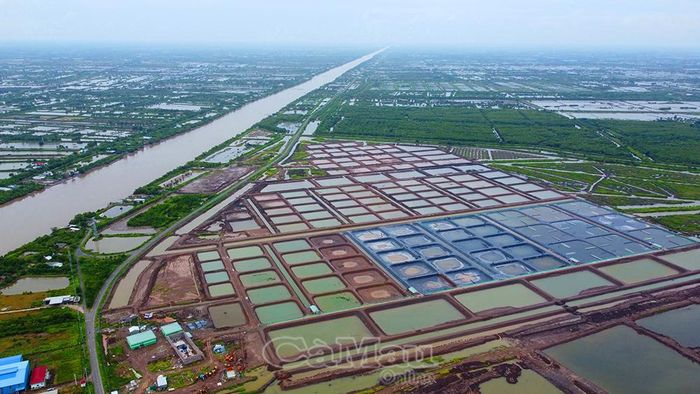 Nhiều khu nuôi tôm công nghệ cao đã được hình thành dọc ven biển, góp phần nâng cao giá trị sản xuất.