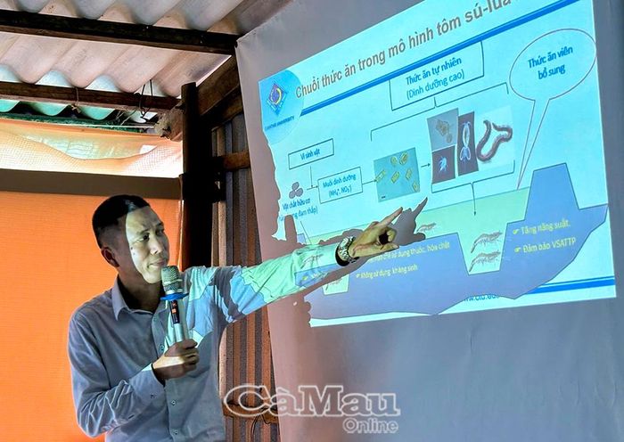  PGS.TS Huỳnh Trường Giang, Phó Hiệu trưởng Trường Thuỷ sản, Đại học Cần Thơ, chia sẻ về vai trò và những vấn đề cần cải tiến để thực hiện hiệu quả mô hình lúa  tôm trong bối cảnh biến đổi khí hậu.