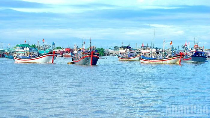 Cà Mau là một trong những tỉnh có đội tàu khai thác biển lớn nhất khu vực Đồng bằng sông Cửu Long. Tỉnh cam kết kiên quyết chống khai thác IUU gắn với bảo vệ nguồn lợi thủy sản.