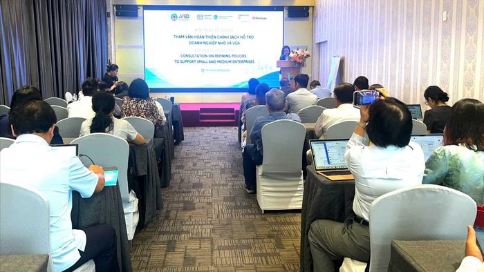 Đại diện Tổ chức Lao động Quốc tế (ILO) đề xuất giải pháp hỗ trợ doanh nghiệp nhỏ và vừa phát triển. Ảnh: MINH XUÂN