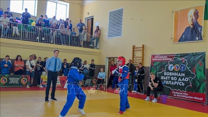 Một số hình ảnh thi đấu tại Giải quốc gia Việt Võ Đạo Belarus 2026. Ảnh: TTXVN phát