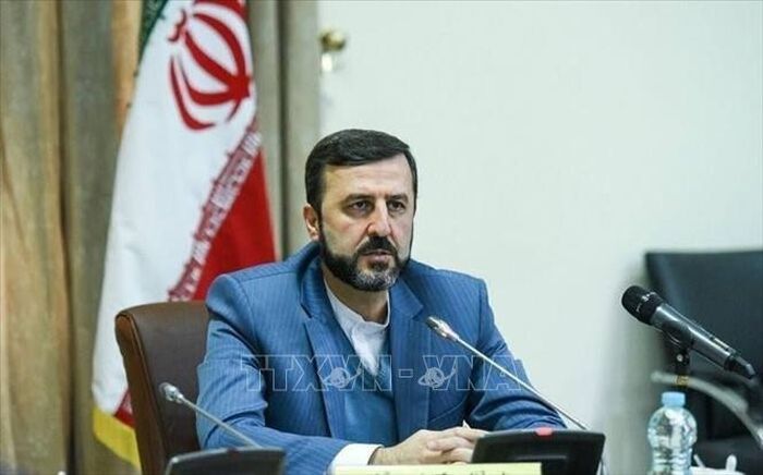 Thứ trưởng Ngoại giao Iran Kazem Gharibabadi. Ảnh: IRNA/TTXVN.