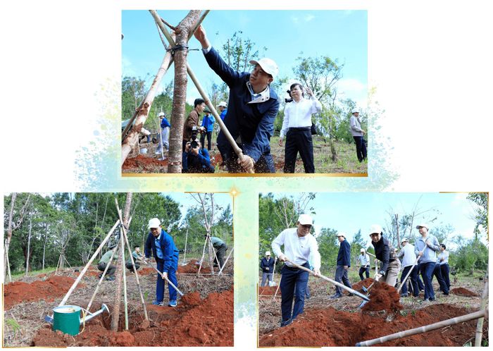 Lãnh đạo tỉnh tham gia trồng cây tại lễ phát động