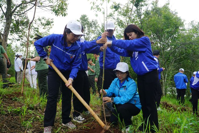 Phát huy sức trẻ, lực lượng đoàn viên, thanh niên tỉnh Lâm Đồng đang cùng với các ngành chức năng tích cực tham gia trồng rừng
