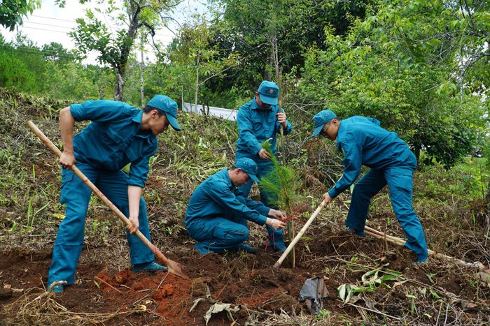 Lực lượng dân quân tự vệ tham gia trồng cây