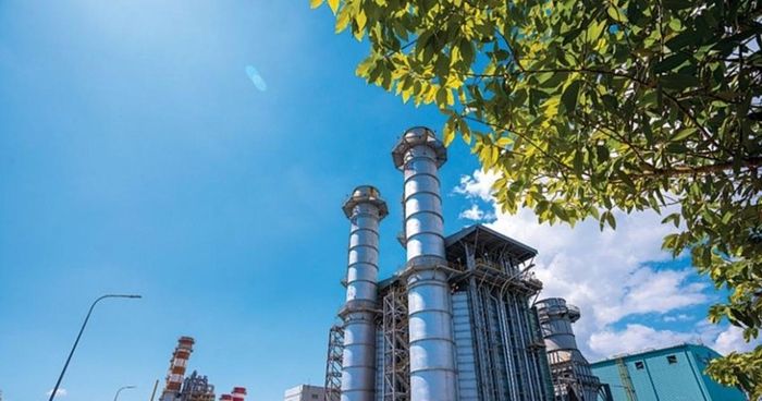 PV Power tiếp tục trình cổ đông phương án không chia cổ tức bằng tiền mặt.