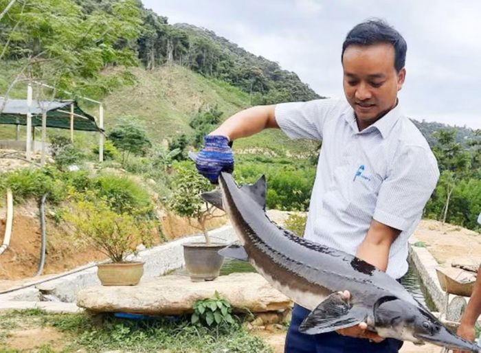 Anh Hồ Thanh Phương, người đồng bào dân tộc Pa Cô mang họ Bác Hồ - người đầu tiên thành công với mô hình nuôi cá tầm ở miền núi A Lưới.