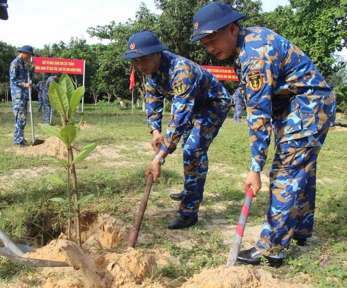 Cán bộ, chiến sĩ Lữ đoàn 146 hăng hái tham gia trồng cây.