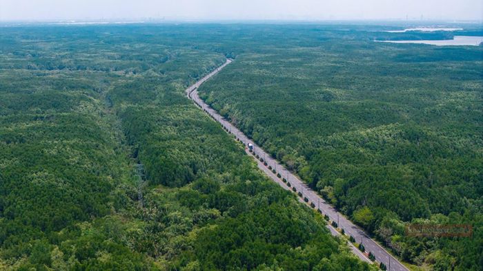 Tiếp đó, tuyến tiếp tục đi theo trục đường Rừng Sác, vượt sông Dinh Bà tại khu vực cầu Dần Xây để sang địa phận xã Cần Giờ.